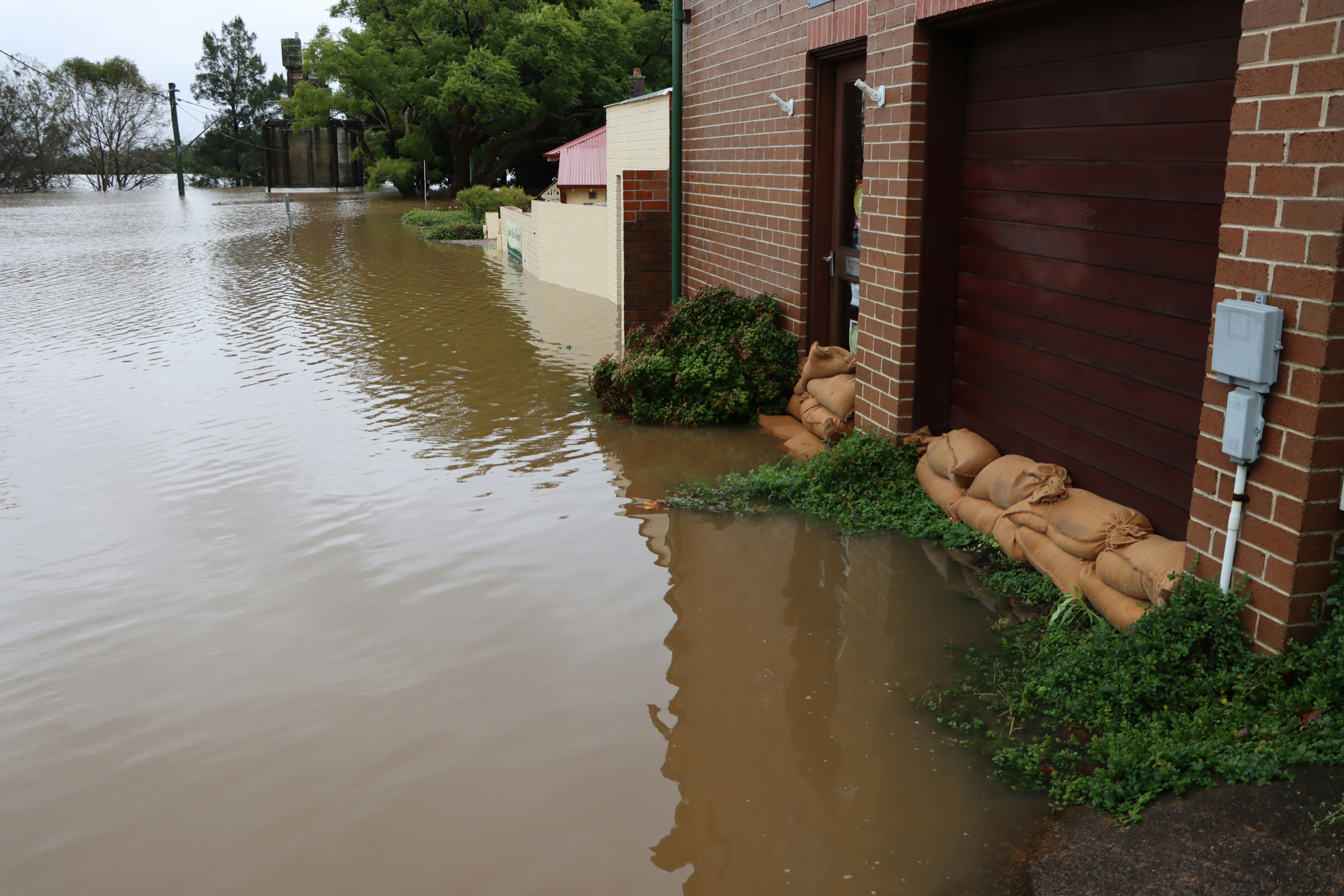 Dealing with a Flooded Basement in Greensboro? Best Option Restoration Has You Covered