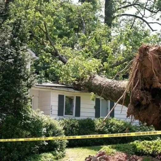 Storm & Wind Damage Repair Services in Greensboro, NC